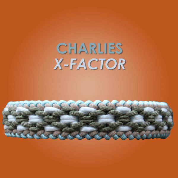 Charlies X-Factor collare - DIY set Charlies X-Factor collare - DIY set