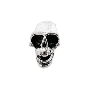 Perlina cranio