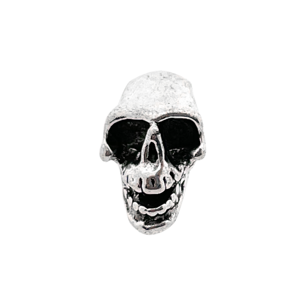 Kraal Schedel Perlina cranio