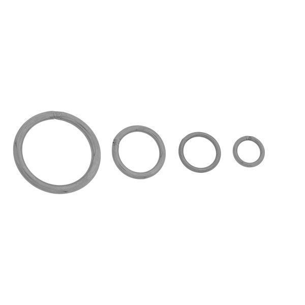 O-ring 25 X 4MM RVS