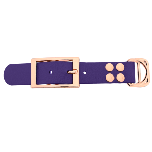 Biothane adattatore 25MM Violet/Rose Oro Biothane adattatore 25MM Violet/Rose Oro