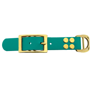 Biothane adattatore 25MM Teal/Ottone Biothane adattatore 25MM Teal/Ottone