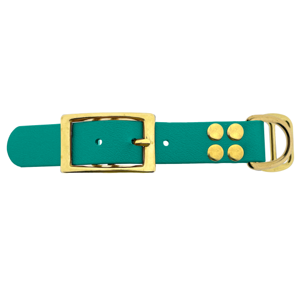 Biothane adattatore 25MM Teal/Ottone