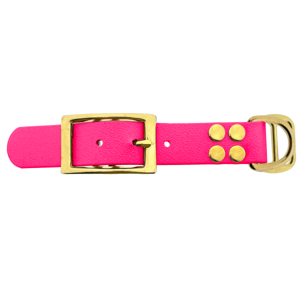 Biothane adattatore 25MM Neon Rosa/Ottone Biothane adattatore 25MM Neon Rosa/Ottone