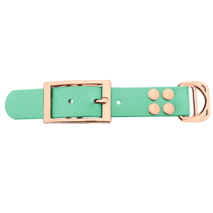 Biothane adapter 25MM Caribbean Groen/Oro rosa