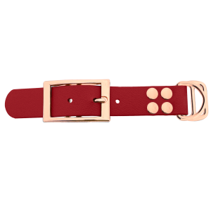 Biothane adattatore 25MM Rosso/Rose Oro Biothane adattatore 25MM Rosso/Rose Oro