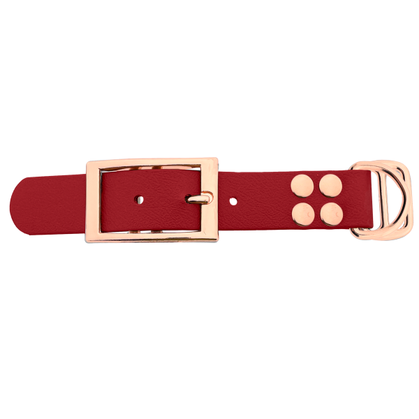 Biothane adattatore 25MM Rosso/Rose Oro