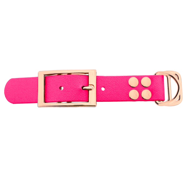 Biothane adattatore 25MM Neon Rosa/Rose Oro Biothane adattatore 25MM Neon Rosa/Rose Oro