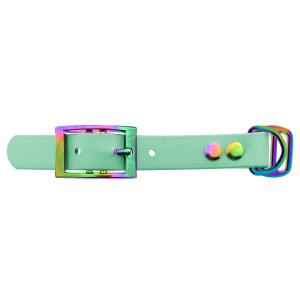 Biothane adapter 19MM Caribbean Groen/Neo-Chrome Biothane adapter 19MM Caribbean Groen/Neo-Chrome