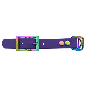 Biothane adapter 19MM Violet/Neo-Chrome