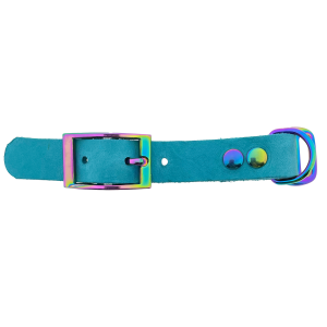 Vetleder adapter 19MM Turquoise/Neo-Chrome Vetleder adapter 19MM Turquoise/Neo-Chrome
