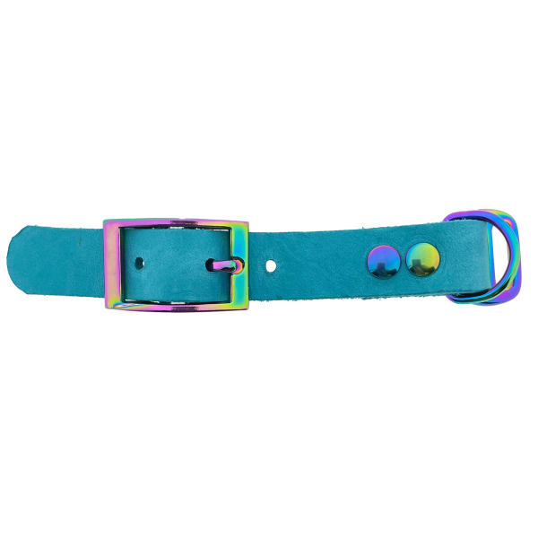Vetleder adapter 19MM Turquoise/Neo-Chrome Vetleder adapter 19MM Turquoise/Neo-Chrome