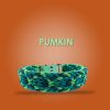 Pumpkin halsband - DIY set