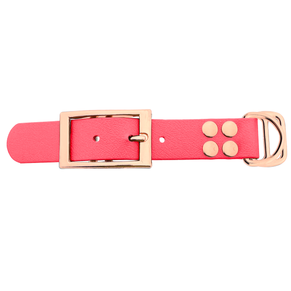 Biothane adattatore 25MM Coral/Rose Oro