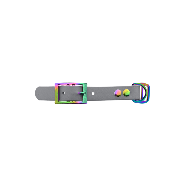 Biothane adapter 19MM Argento/Neo-Chrome Biothane adapter 19MM Argento/Neo-Chrome