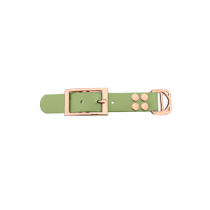 Biothane adapter 25MM Holy Guacamole/Oro rosa