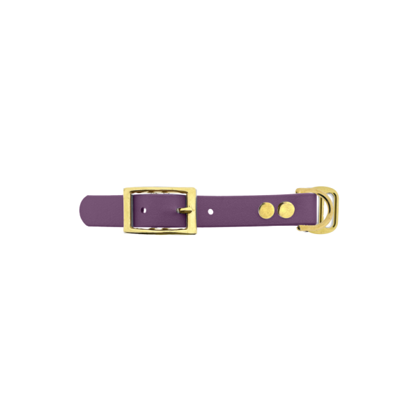 Biothane adattatore 19MM Marvelous Mauve/Ottone Biothane adattatore 19MM Marvelous Mauve/Ottone