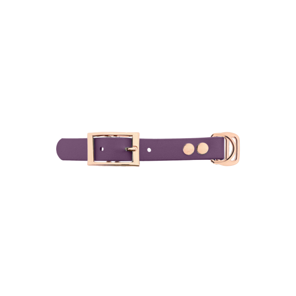 Biothane adattatore 19MM Marvelous Mauve/Rose Oro