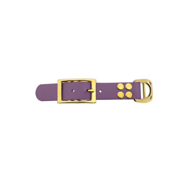 Biothane adattatore 25MM Marvelous Mauve/Ottone Biothane adattatore 25MM Marvelous Mauve/Ottone