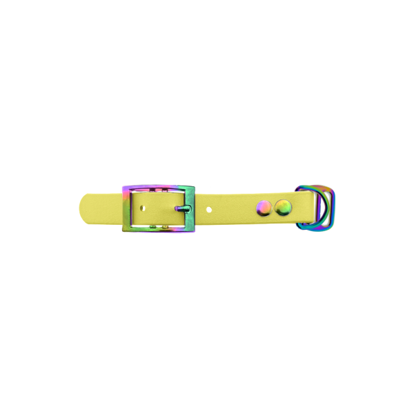 Biothane adapter 19MM Pastel Geel/Neo-Chrome Biothane adapter 19MM Pastel Geel/Neo-Chrome