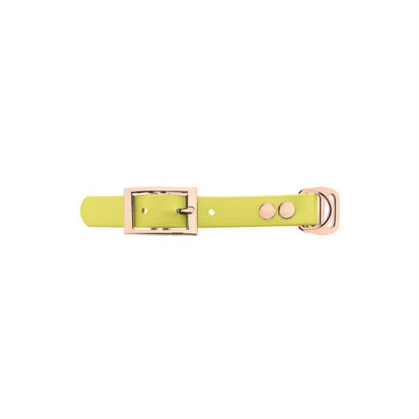 Biothane adapter 19MM Pastel Geel/Oro rosa