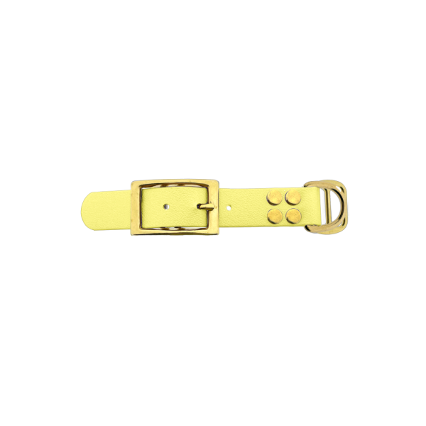 Biothane adapter 25MM Pastel Geel/ottone