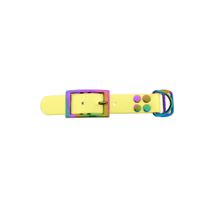 Biothane adapter 25MM Pastel Geel/Neo-Chrome