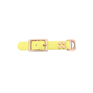 Biothane adapter 25MM Pastel Geel/Oro rosa