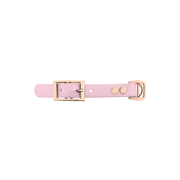 Biothane adattatore 19MM Dusty Pink/Rose Oro